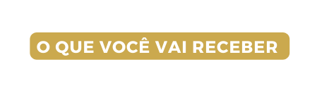 O QUE VOCÊ VAI RECEBER
